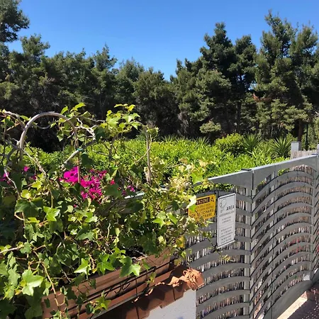 Апартаменты Da Elio E Stanze Сан-Домино