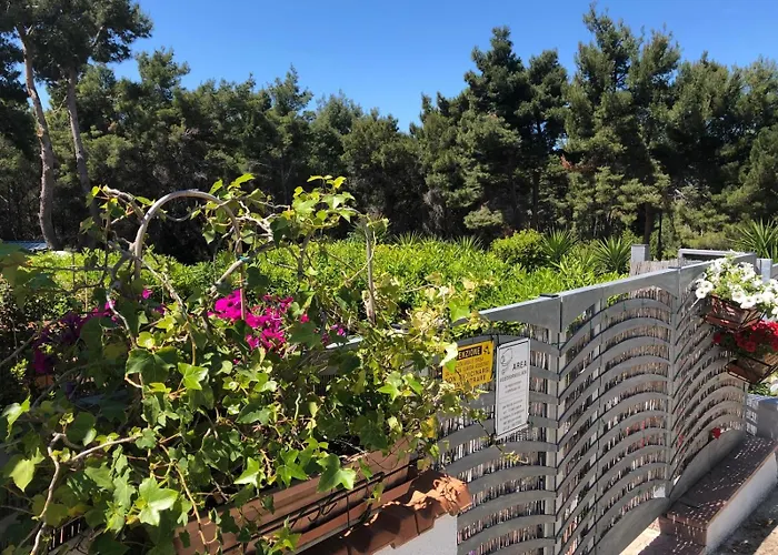 Апартаменты Da Elio E Stanze Сан-Домино